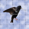 Rede de pássaro com orifício quadrado de HDPE